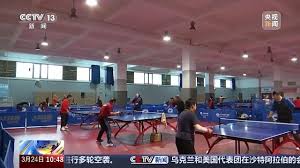 2026世界杯官方登录 乒乓球台高度约为多少